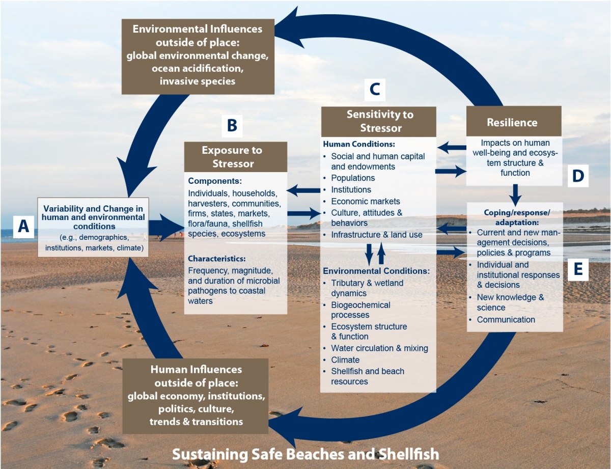 conceptual model